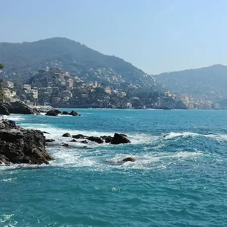 Apartment Window With View On Portofino Peak And Camogli Recco
